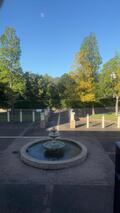 IMG_2908.jpeg