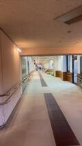 IMG_2913.jpeg