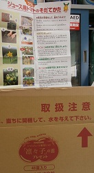 凛々子H25.JPG