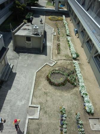 圧縮　中庭DSC_2443.jpg