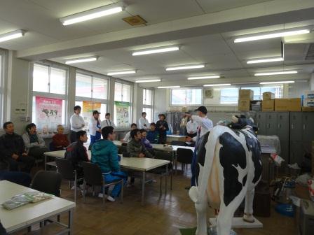圧縮　牛　DSC02776.jpg