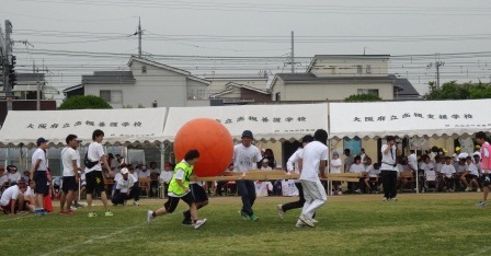 圧縮　DSC02695.jpg