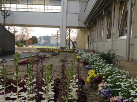 圧縮DSC02441.jpg