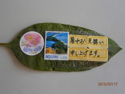 暑中見舞タラヨウ.JPG