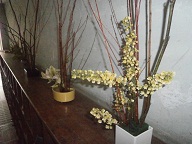 生け花.jpg