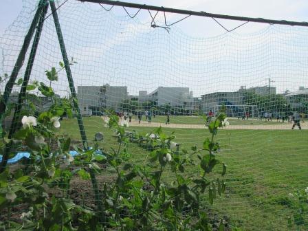 11 IMG_2775.jpg