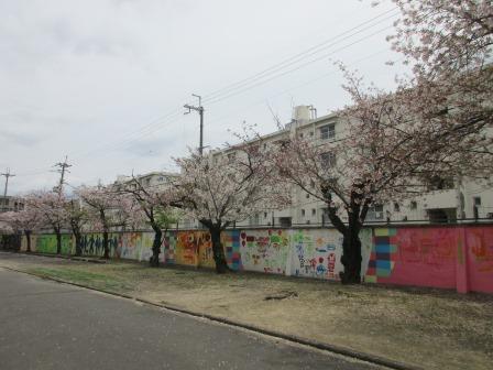 2 IMG_2720.jpg