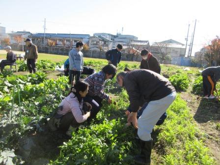 hatakejissyuu IMG_0849.jpg