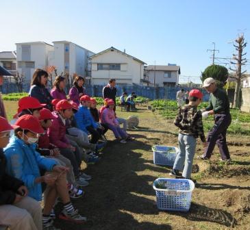 syougakubuhartake IMG_0857.jpg