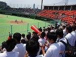 DSC00228.jpg