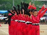 DSC03808.jpg