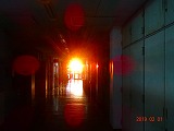 DSC06653.jpg