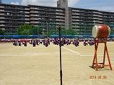 DSC07908.jpg