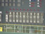 DSC08142.jpg