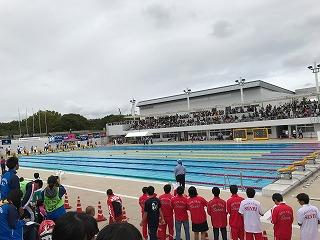 水泳近畿大会１.jpg