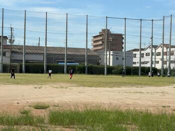IMG_4398.JPG