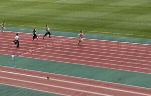 IMG_6653.jpg