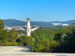 IMG_7975.JPG