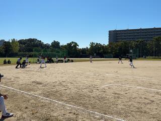 IMG_7978.JPG