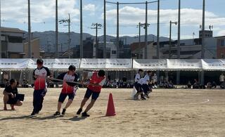 IMG_8087.JPG