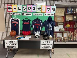 IMG_8246.JPG