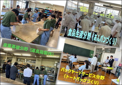 視察1.JPG