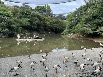 3ネオパークOKINAWA2.jpeg