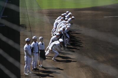 image_123650291 (3).JPG