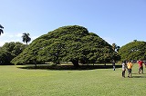 IMG_3510.jpg