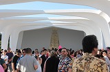 IMG_3523.jpg