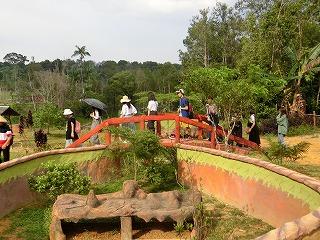 CIMG5293.jpg