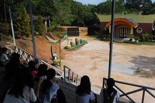DSCF8004.jpg