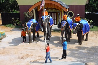 DSCF8011.jpg