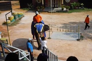DSCF8038.jpg