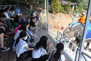 DSCF8061.jpg