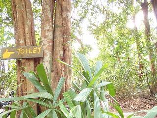 PB040077.jpg