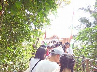 PB040078.jpg