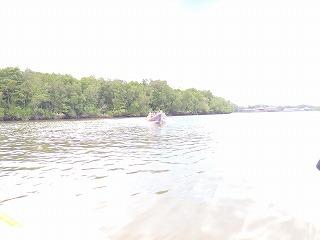PB040088.jpg