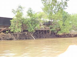 PB040097.jpg