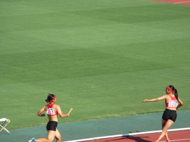 IMG_7021.JPG