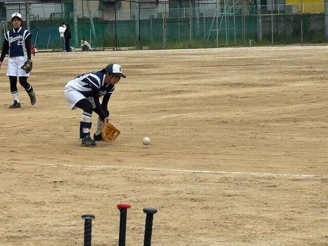 img_1606_720.jpg