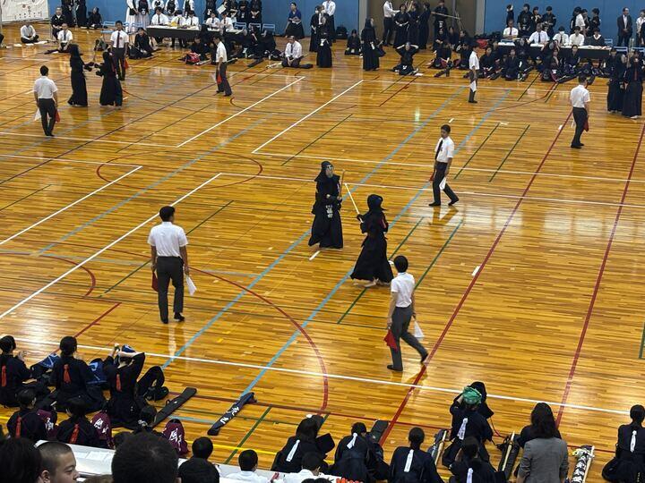 img_6256_720.jpg