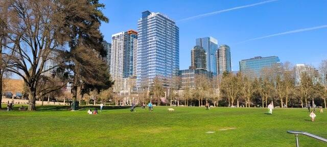 日曜日　Bellevue Downtown Park (2).jpg