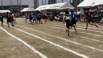 IMG_8581.jpg