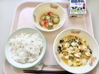 IMG_5943.jpeg
