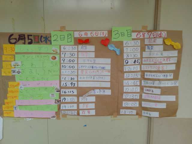 NEC_0249.JPG