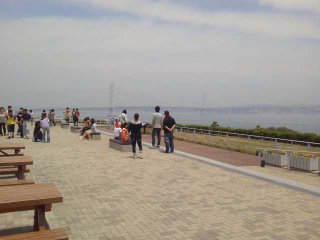 NEC_0270.JPG