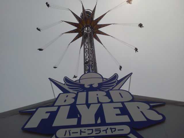 NEC_0302.JPG