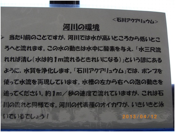 水槽２.jpg