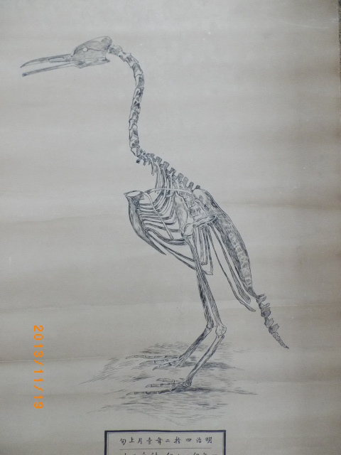 kagaku1.JPG